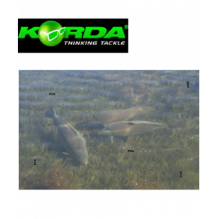 DVD STATE OF THE ART...