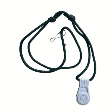 Moteur Electrique Haswing Protruar 3.0 110Lbs 12V