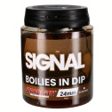 Bouillettes In Dip Starbaits Concept Signal 150G