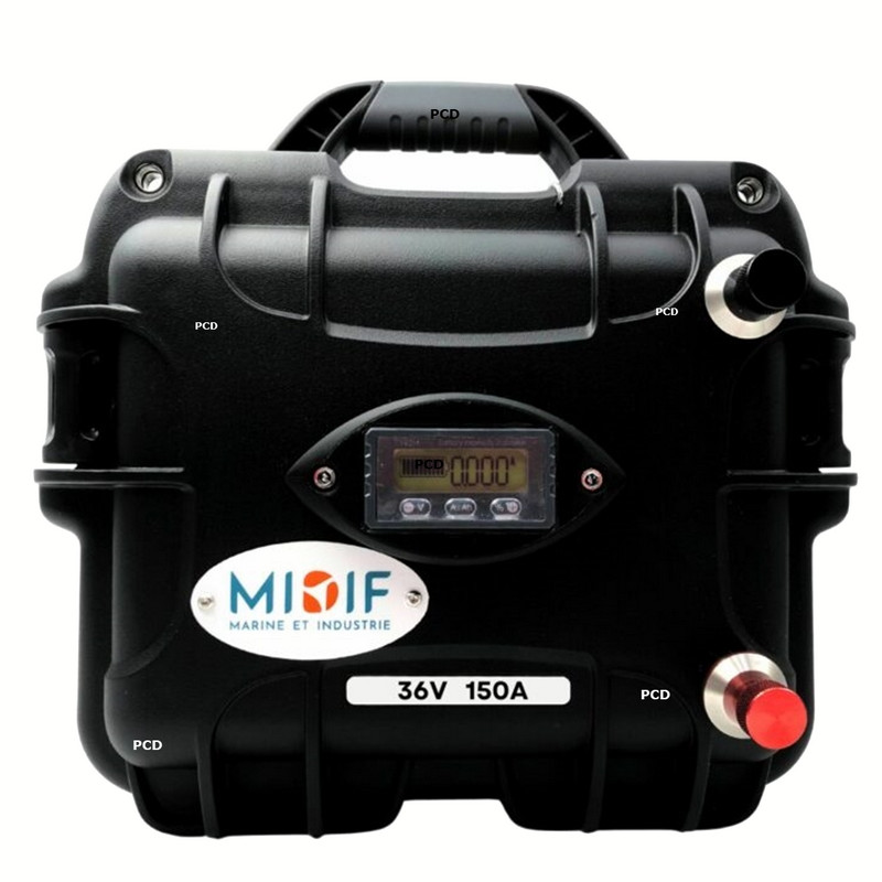 Batterie Lithium Haswing LifePo4 12S Valise 36V 150Ah Avec Chargeur