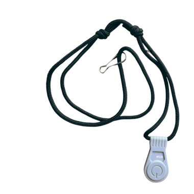 Moteur Electrique Haswing Armada T10 48V 300Lbs