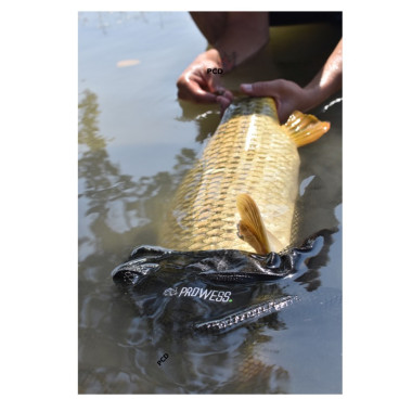 Epuisette Carpe Prowess Scorpium