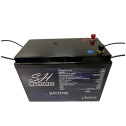 Batterie Caisse Lithium LifePo4 12V 100Ah Sh Lithium + Chargeur