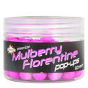Bouillettes Flottantes Dynamite Baits N-Ticers Hookbaits Mulberry Florentine Pop-Ups