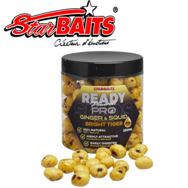 Graines Préparées Starbaits Ready Seeds Pro Bright Tiger Ginger Squid 250ML