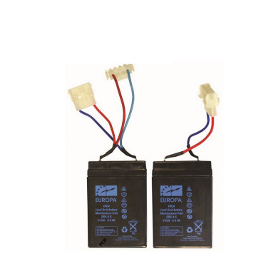 Jeu de 2 Batteries Plomb Pour Bateaux Amorceurs Anatec 6V 4,5A