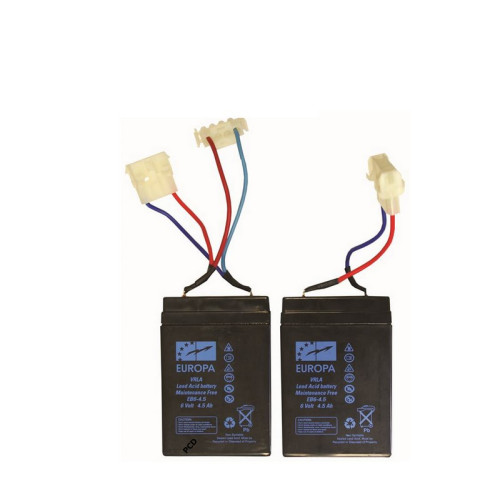 Jeu de 2 Batteries Plomb Pour Bateaux Amorceurs Anatec 6V 4,5A