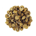 Tigernuts Amorçage Cap River Skinned 1KG
