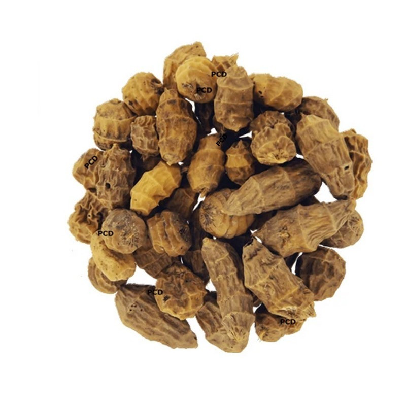Tigernuts Amorçage Cap River XXL 1KG