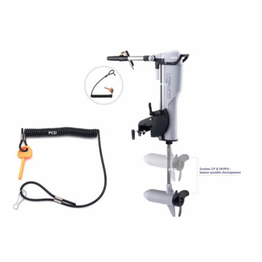 Moteur Electrique Haswing Comax N 55Lbs New