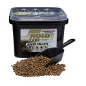 Pellets Starbaits Performance Concept Hold Up Pellets 2KG