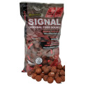 Bouillettes Starbaits Performance Concept Signal 2KG
