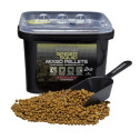 Pellets Starbaits Probiotic Pro Ginger Squid Pellets 2KG