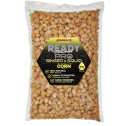 Graines Cuites Starbaits Ready Seeds Corn Pro Ginger Squid 1Kg