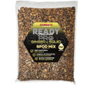Graines Cuites Starbaits Ready Seeds Spod Mix Pro Ginger Squid 3Kg