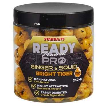 Graines Préparées Starbaits Ready Seeds Pro Bright Tiger Ginger Squid 250ML