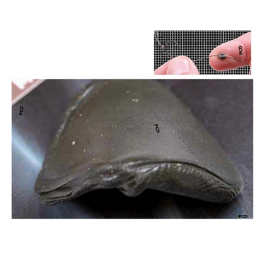 Pâte Plombée En Tungstène Starbaits Pin Down Putty 15G