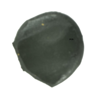 Pâte Tungsten Haute Densité Prowess