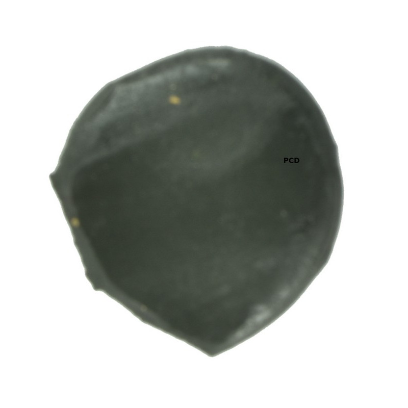 Pâte Tungsten Haute Densité Prowess