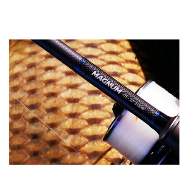 Canne Carpe Carp Spirit Magnum X5 10 Pieds 3LBS