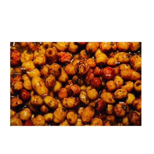 Graines Préparées Dynamites Baits Tiger Nuts 2.5L