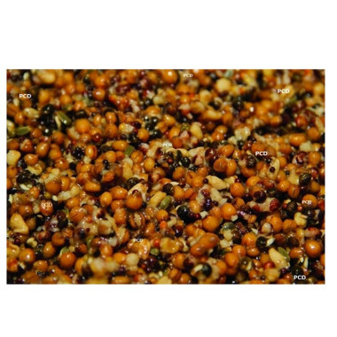 Graines Préparées Dynamite Baits Feeder Mix Particle 700G